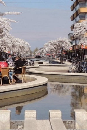 De kluis kraken in Hoogeveen via een online portaal 