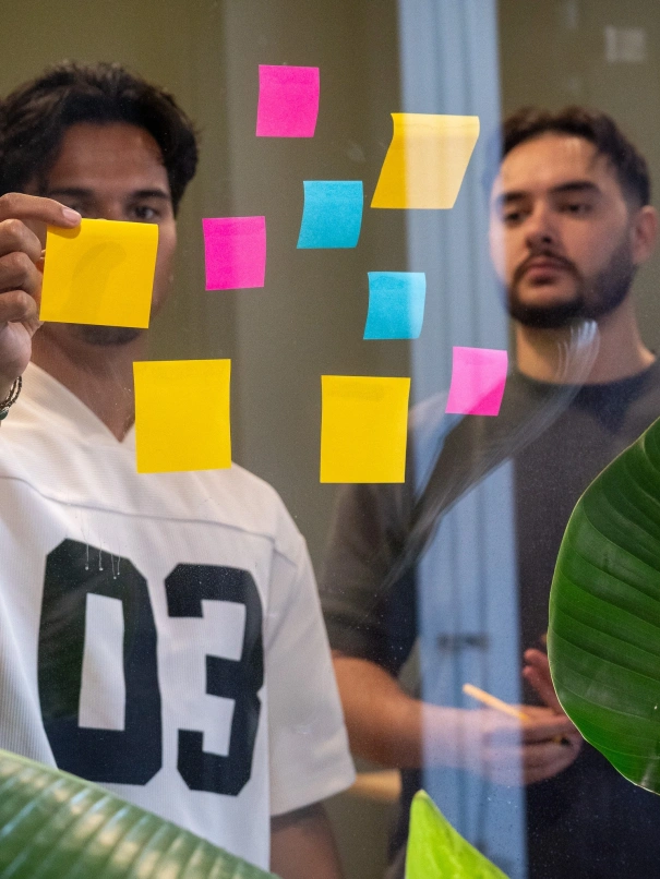 Ittica Media uit Hoogeveen