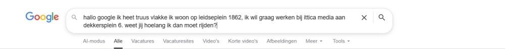 Google zoek query