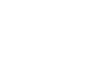 Toyota Ruyne