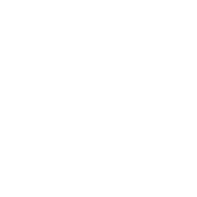 SV Pesse