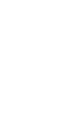 V.V. Hollandscheveld