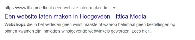 Voorbeeld organisch resultaat Search Engine Optimization